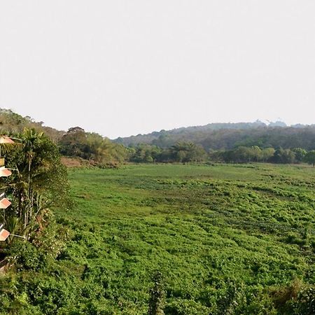 טקאדי Jungle Palace Homestay מראה חיצוני תמונה
