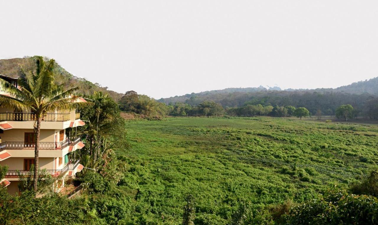 טקאדי Jungle Palace Homestay מראה חיצוני תמונה